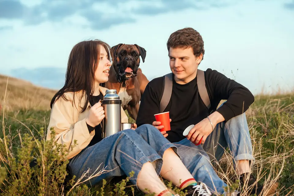 The dog walk — Bright coffee